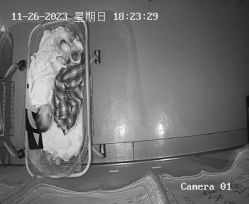 -爱月坊产后护理中心(万达店)