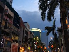 -都念榴莲·城市榴莲