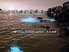 -海沧湾公园