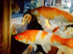 -武汉花鸟市场