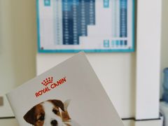 -爱诺耐芙动物医院(万博店)