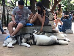 -TrueLove @ Neverland (Husky Cafe)