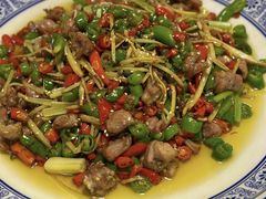 姜丝兔兔-新蜀会四川豆花(五羊店)