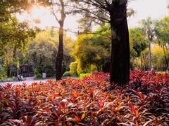 -晓港公园