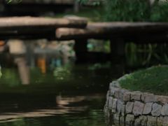 -春风习习
