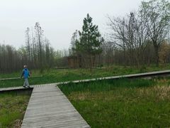 android_upload_pic-溱湖国家湿地公园