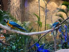 -杭州开元森泊度假乐园