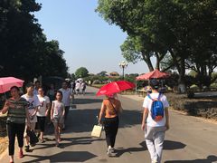 景区内马路-橘子洲景区