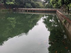 -缙云山景区