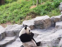 -宁波野生动物园