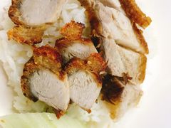 -鸡饭店