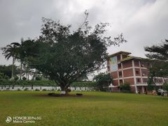 -侯臣咖啡文化村