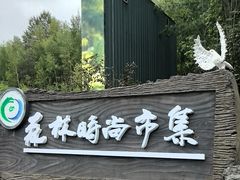 -汤旺河林海奇石景区