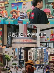 -乐高品牌旗舰店(人民广场店)