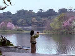 -南宁南湖公园
