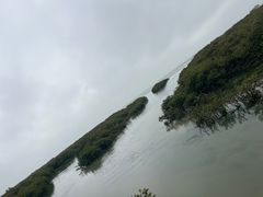 -红树林天天赶海