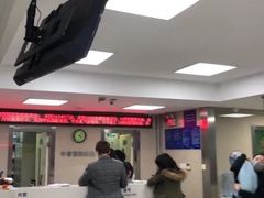 -申普宠物医院·心脏介入·心血管微创(总院)