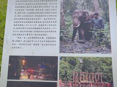 -野象谷景区