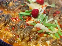 -老板恋上鱼(恒隆广场店)