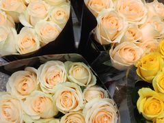 -双季花艺园艺市场(浦东店)
