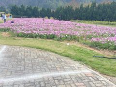 -南沙蒲洲花园
