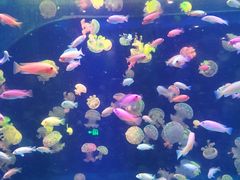 -海合安青岛极地海洋公园