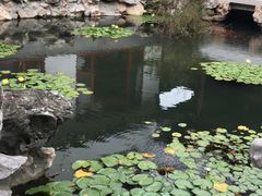 -苏州冶园园林民宿(太湖西山风景区店)