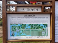 -长田漾湿地公园