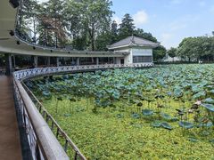 -荔湾湖公园