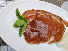 -京炉烤鸭·新京菜·庭院餐厅(大东方·欢乐谷店)