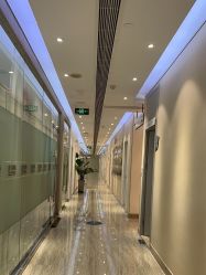 -上海首尔丽格医疗美容医院