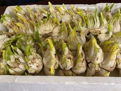 -双季花艺园艺市场(浦东店)