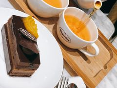 热柠檬茶-哈根达斯(朝阳大悦城店)