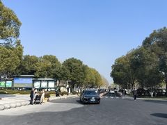 -合肥滨湖国家森林公园