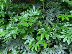 -贵阳市花溪国家城市湿地公园