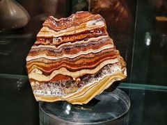 -中国地质博物馆