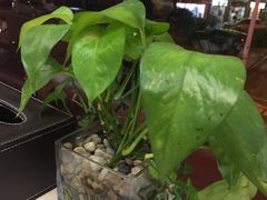-鑫悦楼煎蟹·16年海鲜大排档