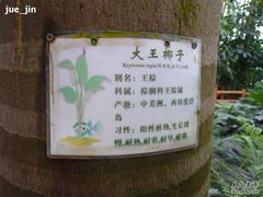 P1000638-绿色时代大酒店