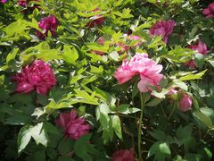 -元大都城垣遗址公园