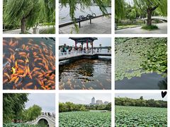 -长春市南湖公园