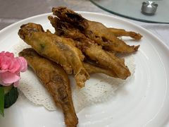 -金龙渔港(双楠店)