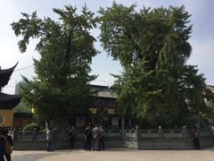 -圆通寺