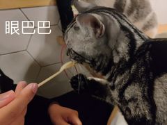 -有何Book(六堰体育馆店)