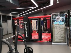 -金吉鸟健身游泳