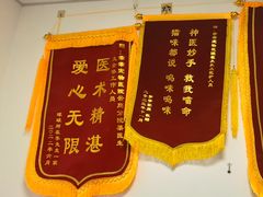 -乖乖宠物医院·猫科·骨科·24小时(云岗分院)