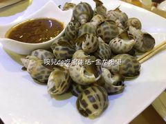 -金龙渔港(双楠店)