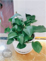 -时尚妈咪产后修复中心