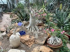 -国家植物园南园