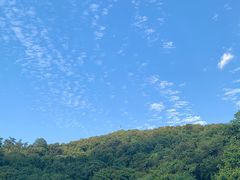 -紫金山天文台