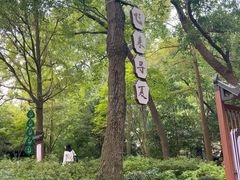 -灵隐飞来峰景区